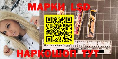 МДПВ Партизанск