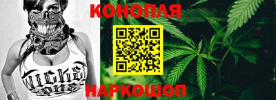 МДПВ Партизанск